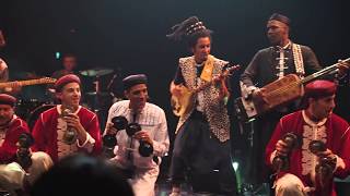 BEST OF DU GNAOUA FESTIVAL TOUR BATACLAN PARIS 2017 [upl. by Trammel191]