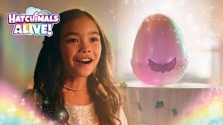 Hatchimals Alive Mystery Hatch  Something Magical is Coming [upl. by Purington737]