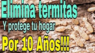 Como Eliminar Termitas y Protege tu hogar por 10 años [upl. by Ileak]