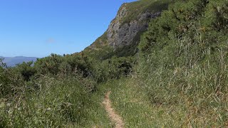 4K UHD  Virtual Walks with Nature Sounds Short  Ellas Track  Port Hills  Canterbury [upl. by Sucramat951]