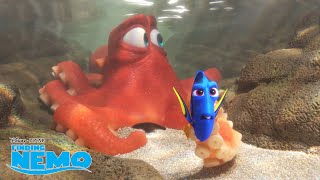 Finding Dory  Blijven Zwemmen  Disney NL [upl. by Noskcaj]