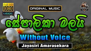 Sepalika Malai ❤️ සේපාලිකා මලයි  Karaoke Without Voice  Jayasiri Amarasekara [upl. by Arreit]