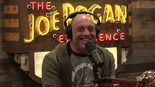 JRE MMA Show 136 with Jamahal Hill [upl. by Weisburgh]