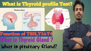 thyroid profile testTSHT3T4 testthyroxinenormal range tsht3t4hypothyroidismhyperthyroidism [upl. by Lynde]