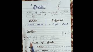 Function of stipules botany neet botanybasics botanybasics bsc2ndyear botanyforall morphology [upl. by Seed]