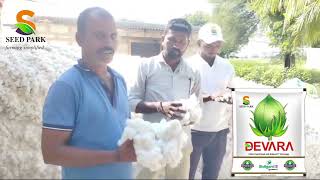 SEED PARK INDIA PVT LTD DEVARA cotton field farmer opinion [upl. by Adaner]