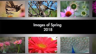 Images of Spring 2018 [upl. by Mirabelle788]