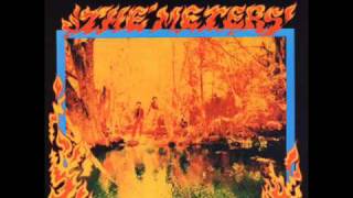 The Meters  Liar [upl. by Eimoan]