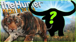 We Found A Pseudo Melanistic Tiger And Had NO MONEY To Tax It [upl. by Fiann]