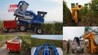 Vendanges mécaniques en Alsace [upl. by Borroff]