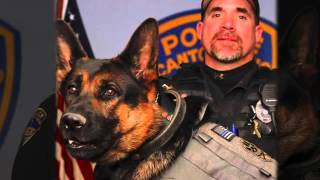 Canton K9 officer Jethro dies after being shot in the line of duty [upl. by Kcirdet419]