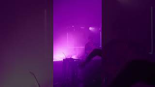 Best gig of 2024 so far thenightcatfitzroy melbourne liveshow groove percussion [upl. by Eliot]