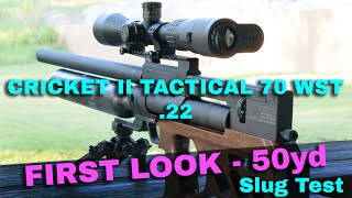 Kalibrgun CRICKET II Tactical 70 WST Review  First Look  Slug Test [upl. by Finer]