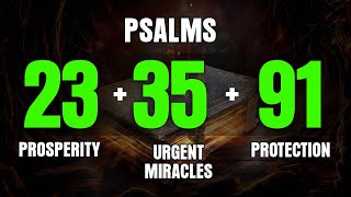 PSALMS 23 35 91  03 Powerful Prayers to Obtain Abundant Blessings and Divine Protection [upl. by Neltiak]