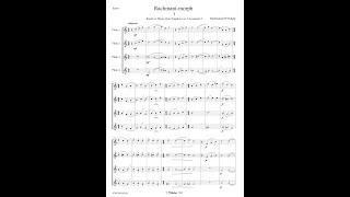 RachmaniMorph for 4 flutes extracts  Rachmaninoff  Trübger [upl. by Ahsiri682]