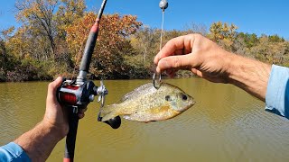 4 Hours of RAW and UNCUT Kayak Catfish and Carp Fishing with Live Bluegill and Worms [upl. by Teik]