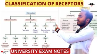 Classification of Receptors Exteroceptors and Enteroceptors CNS Physiology [upl. by Danette643]