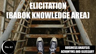 📋🔎Elicitation  Babok Knowledge Area📊Business Analysis Acronyms and Glossary No67📘 [upl. by Elbas139]