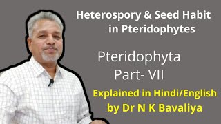 Heterospory and Seed Habit in Pteridophytes [upl. by Weinstein]