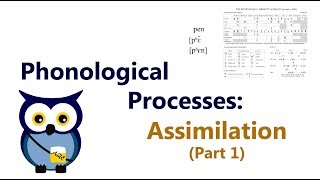 Phonological Processes Assimilation Part 1 [upl. by Notgnihsaw]