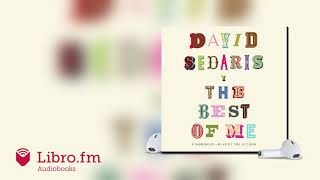 The Best of Me by David Sedaris Audiobook Excerpt [upl. by Nagem368]