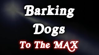 ▶️ Barking Dogs To The Max Barking Dogs Sounds Dogs Barking Noises 12 Hours 🌏 [upl. by Oivlis]