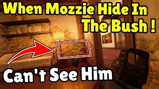 Mozzie Is Too Short He Can Hide In The Bush  Beaulo amp Pojoman Pure Gold Moment  Rainbow Six Siege [upl. by Wonacott]