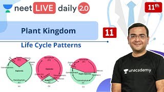 NEET Plant Kingdom  L11  Life Cycle  Class 11  Live Daily 20  Unacademy NEET  Pradeep Sir [upl. by Anavlis]