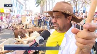 FESTA DE TRINDADE DESFILE REÚNE 400 CARREIROS [upl. by Neelahtak853]