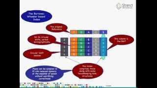 Alignment of raw reads in Avadis NGS [upl. by Erminna266]