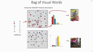 C 71  Bag Of Visual Words  CNN  Object Detection  Machine learning  EvODN [upl. by Magdalen]