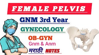 FEMALE PELVIS  GNM 3rd YEAR  GNM NURSING LECTURE IN MARATHI [upl. by Notaek]