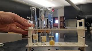 Lab 14 Enzyme activity experiment [upl. by Attiuqal]