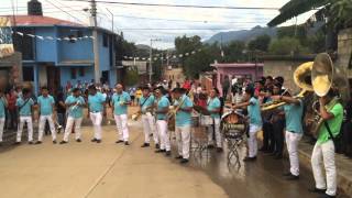 COMPARSA LA ARROLLADORA 2015 BANDA LA MISTERIOSA DE OAXACA TRINIDAD DE VIGUERA [upl. by Oaks]