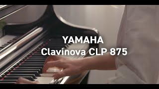 Yamaha Clavinova CLP 875 Digital Piano  Klavierhaus Pianoart [upl. by Cyb]