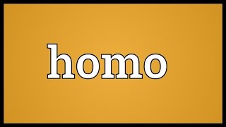 Homo Meaning [upl. by Brenna]