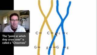 Dihybrid Crosses and Linked Genesmov [upl. by Frohman]