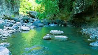 Relaxing birds amp water sounds nature river sounds for sleep meditation relaxation flowing water [upl. by Virgina721]