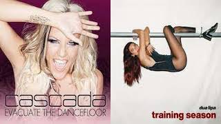 Training Season  Evacuate The Dancefloor  Mashup Of Dua Lipa amp Cascada [upl. by Capon]