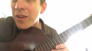 Shearwater  Jonathan Meiburg solo  Pale Kings acoustic  for 4 July 2017 [upl. by Erland]