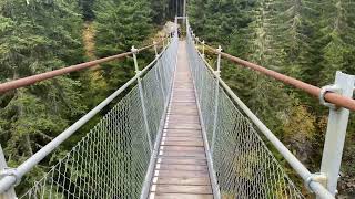 Hängebrücke Acla Mulin  Val Sumvitg in der Schweiz Graubünden Sulvreta beim Tenigerbad [upl. by Winfield]