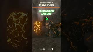 Archeryknight vs Igneo Talus music edit totk gameplay [upl. by Hayn]