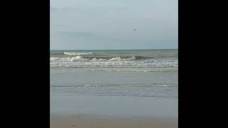 Ostend beach 24112024 oostende strand [upl. by Moreta]