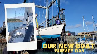 Our new boat  Survey day  Fabola Diva 451 [upl. by Oberstone388]