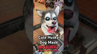 Adorable Husky Dog Mask costume shortvideo costumes [upl. by Adiarf]