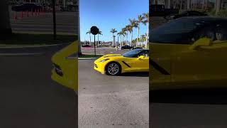 Cars amp Coffee in North Port Florida November 2024 JDM Corvettes Cobras Chevy Trucks Porsche [upl. by Michale165]