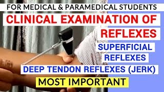 REFLEXES EXAMINATION  CLINICAL LAB  PHYSIOLOGY PRACTICALS [upl. by Asseram]