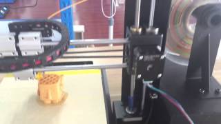 Wanhao Duplicator i3 [upl. by Izak]