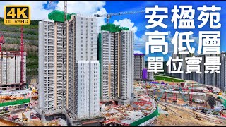 【安達臣道 安楹苑居屋】 高低層單位實景｜安鴻閣 安滿閣｜2幢28層1140伙｜ 安禧街15號｜安愉道｜安健道｜朗然｜安秀道｜安峯  安麗苑  安秀苑  安柏苑  東九龍線 秀茂坪站 [upl. by Razaile]