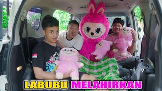 LABUBU RAKSASA MELAHIRKAN BAYI KEMBAR TIGA DI MOBIL [upl. by Helm]